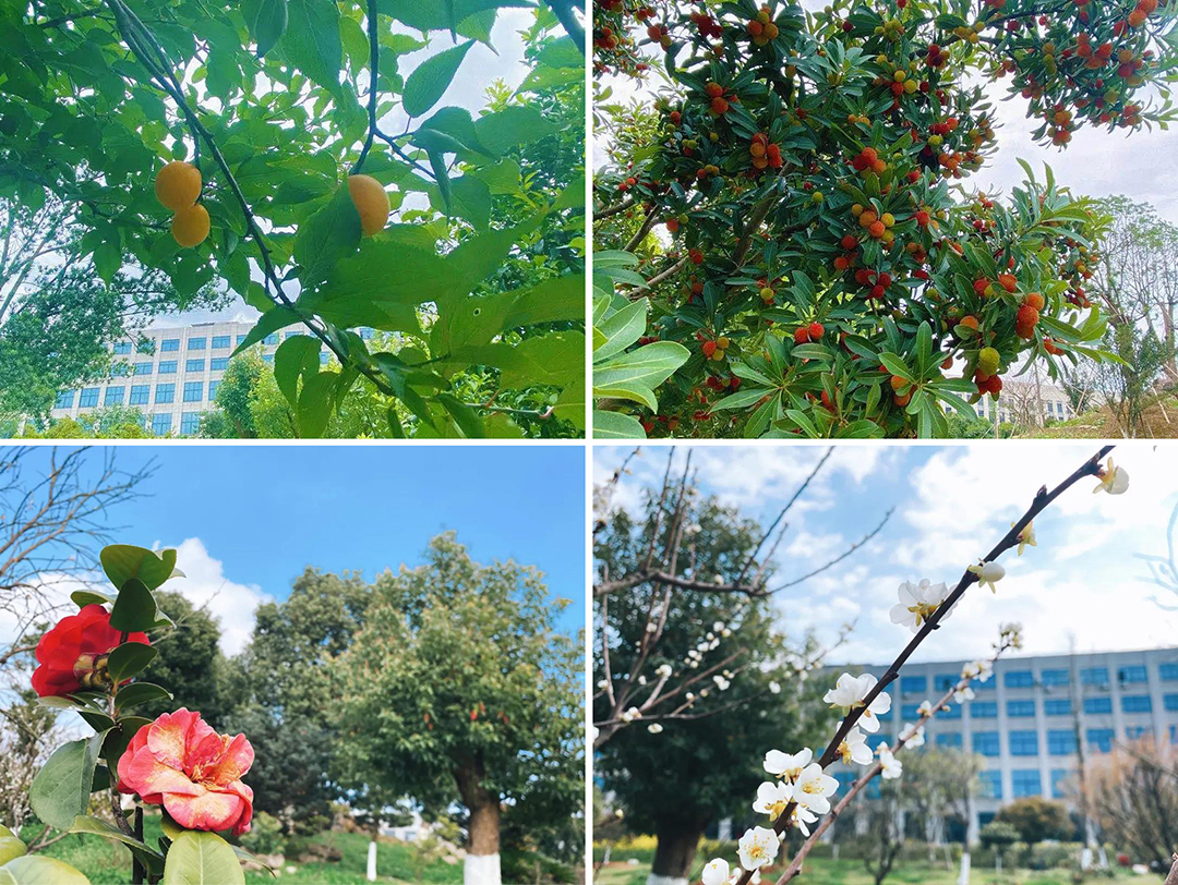 植樹節(jié)|守護(hù)綠色家園的秘密武器！